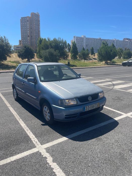 Polo para venda
