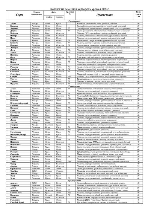 Високоякісна картопля з півночі Сумщини.