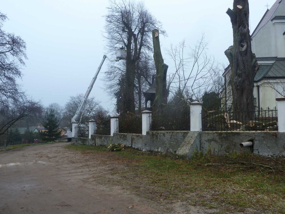 Wycinka Drzew Rębakowanie Gałęzi Podniośnik Koparka