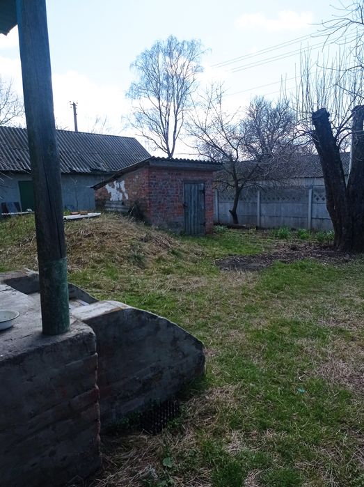 Садиба біля річки Десна. Село Ковчин.