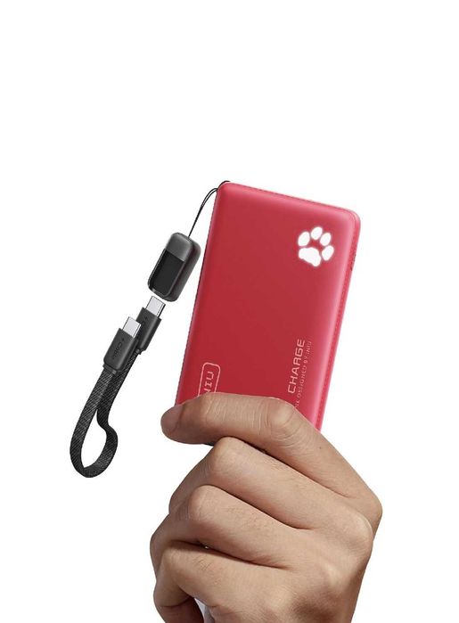 Компактний та якісний Powerbank INIU P41 на 10000 mAh (PD до 45W)