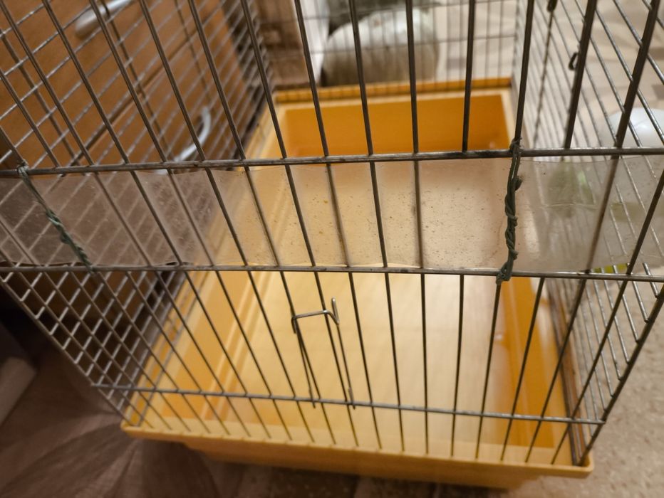 Клітка для папуг, пташок