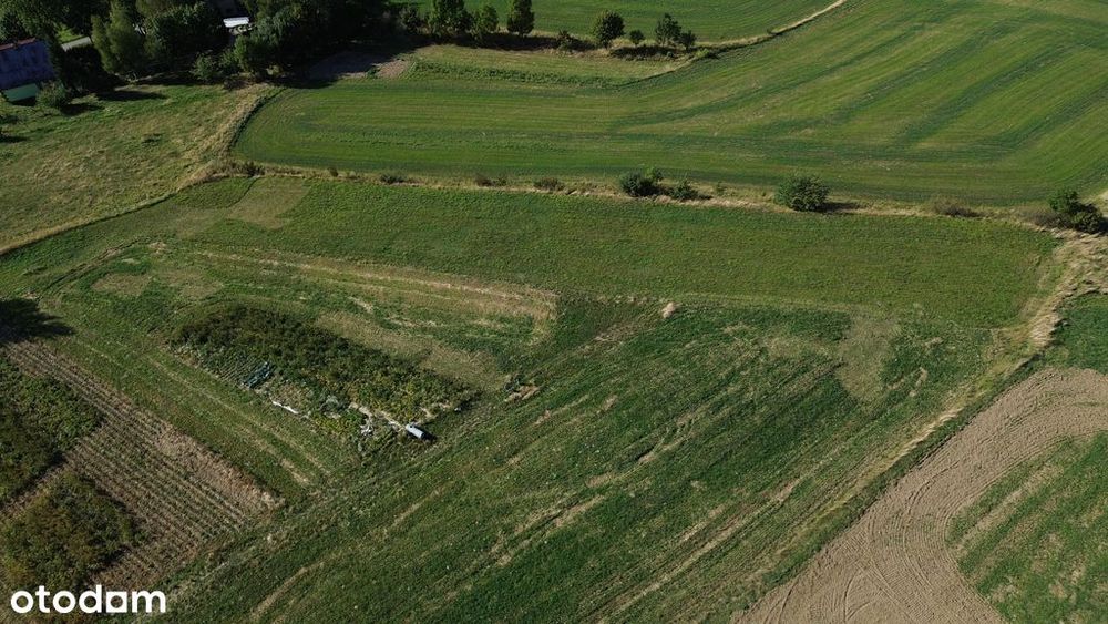 Działka budowlana z panoramą całego jeziora! - Widok 5