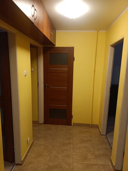 Zdjęcie 3