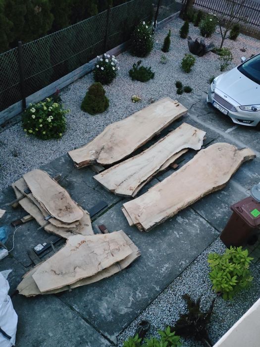 Duże plastry drzewa