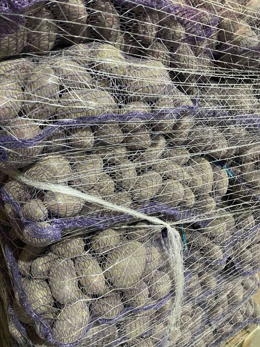 Картопля Товарна Гуртом, Якість із ПДВ