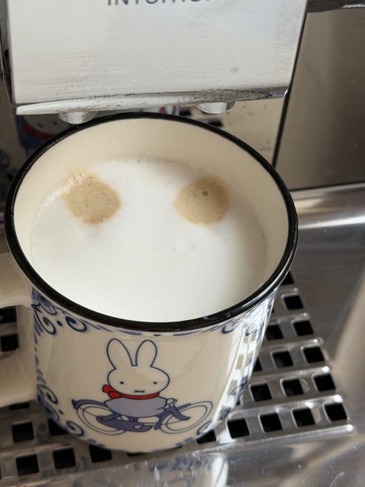 Ekspres Krups dużo programów kawa mrożona