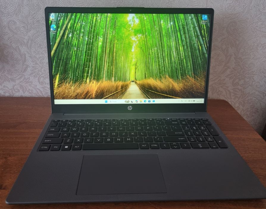 HP Notebook 255 G10