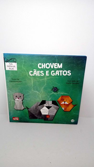 It's Raining Cats and Dogs – On My Street