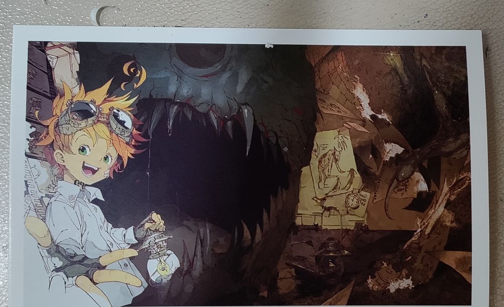 The Promised Neverland cartões