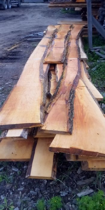 Tarcica olchowa 50,30,25i inne liściaste