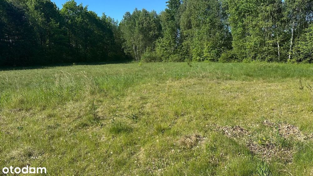 Działka idealna pod 3 wolno-stojące domy lub PARKING! - Widok 4