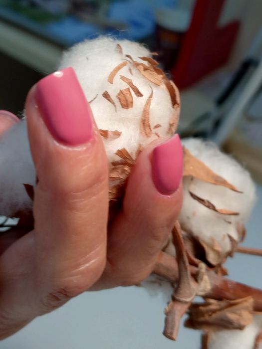 Нарощування, педикюр, манікюр. Р-н Молодіжний