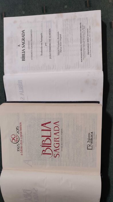 Lote 10 Biblias Diferentes Edições