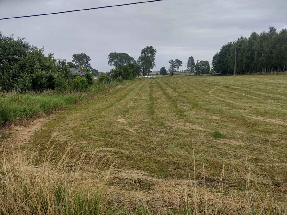 Działka Głużek 12a – pohled 2