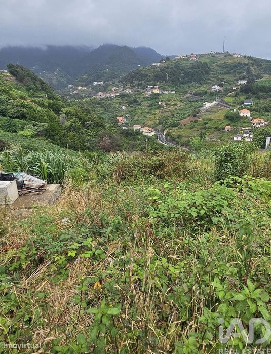 Terreno em Porto da Cruz de 870,00 m2