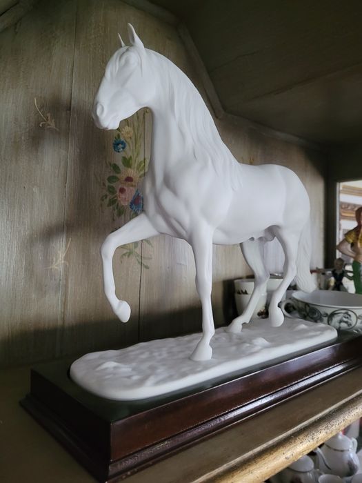 Cavalo Lusitano Vista Alegre