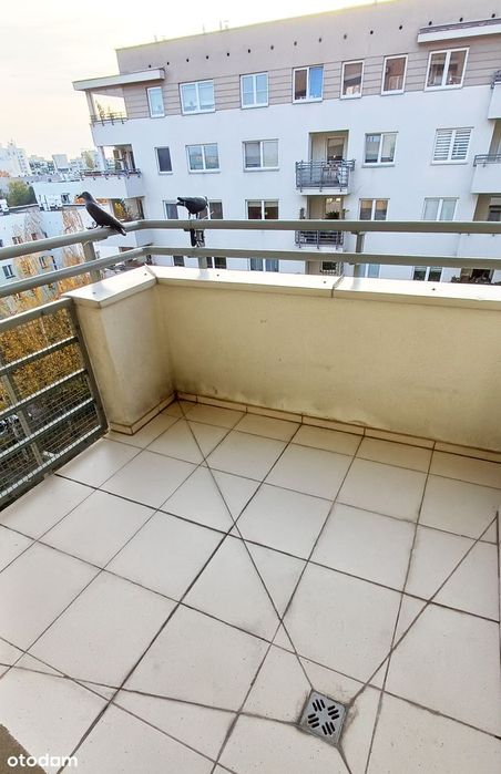 Bezpośrednio 2 pokoje, 38 m², Ursynów, Metro Stokłosy