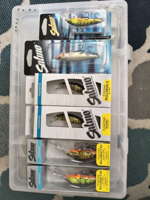 Salmo Bullhead Minnow