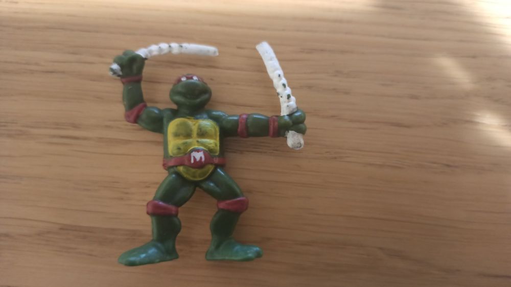 Żółw ninja wojowniczy