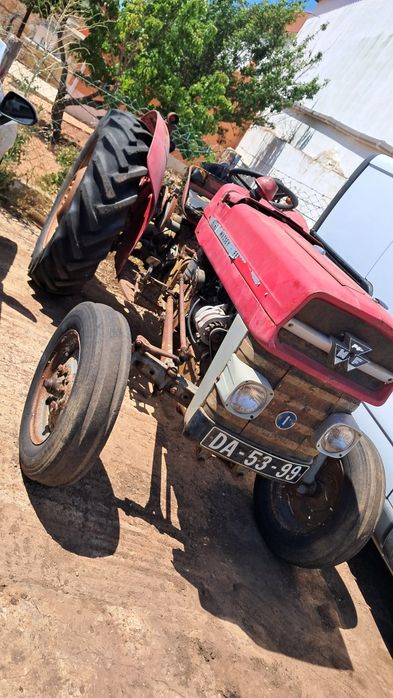 Trator massey ferguson 135 usado com alfaias