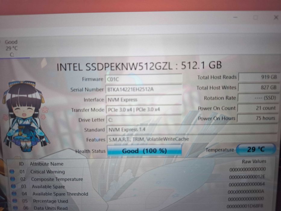 Lenovo Ideapad Gaming 3 Ryzen5 8GB SSD 512 NVME W11 RTX 3050 4GB DDR6 de exposição
