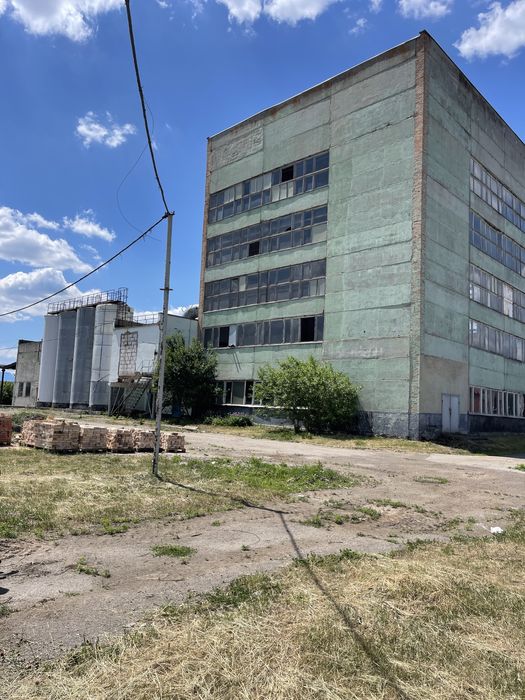 Завод цілісний майновий комплекс сироварний комбінат