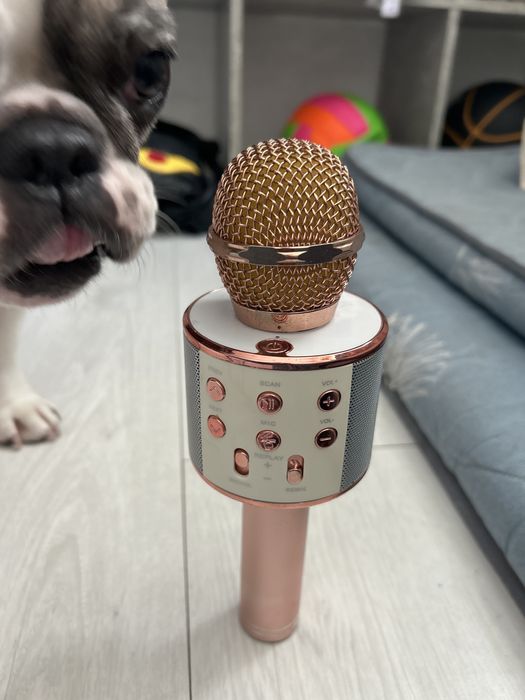 Микрофон handheld ktv ws-858 розовый