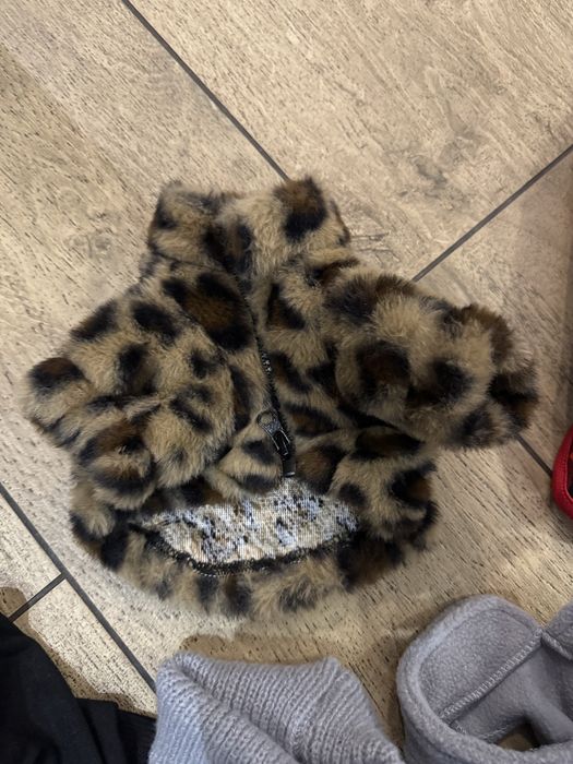 Одежда для собак