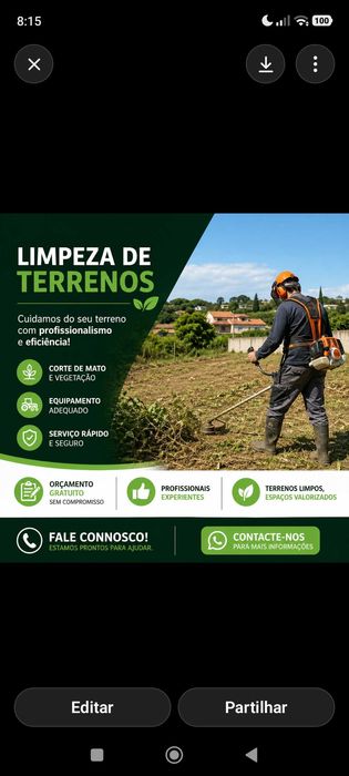 Título: Limpeza de terrenos e mato – Madeira