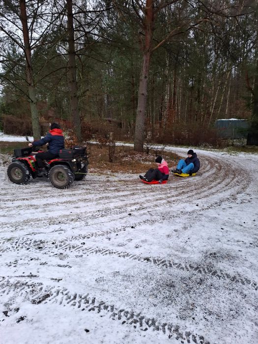 Honda Big Red 300 4x4 -Silnik