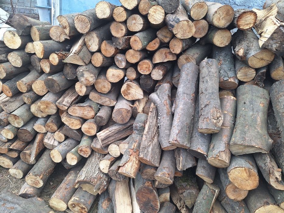 Drewno kominkowe sezonowane