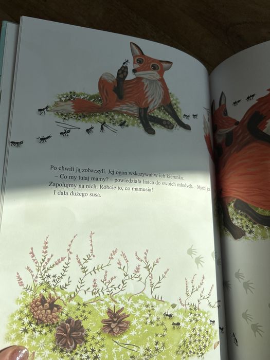 Jeżyk wyrusza w świat