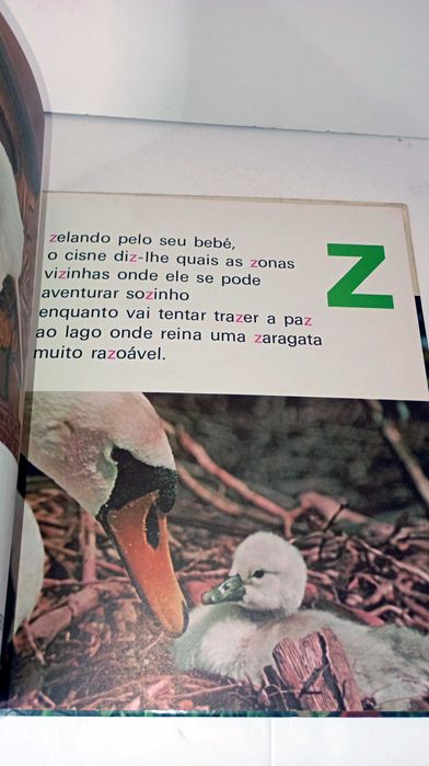 ABC dos Animais Familiares