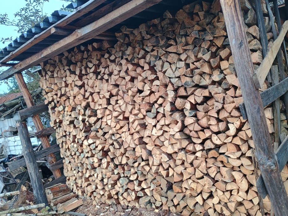 Drzewo opałowe sosnowe i brzozowe kominkowe