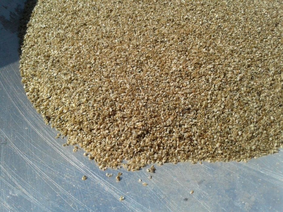 Дафния  сухая от заготовителя 2024 (  1 кг)- продам