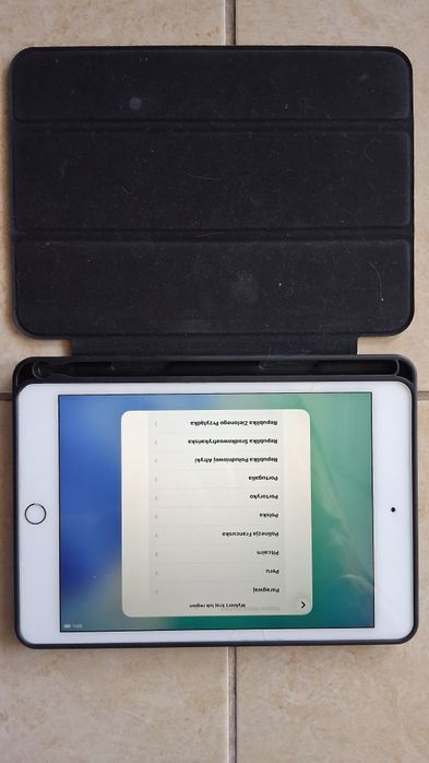 iPad mini 5 Gold z etui - 256GB