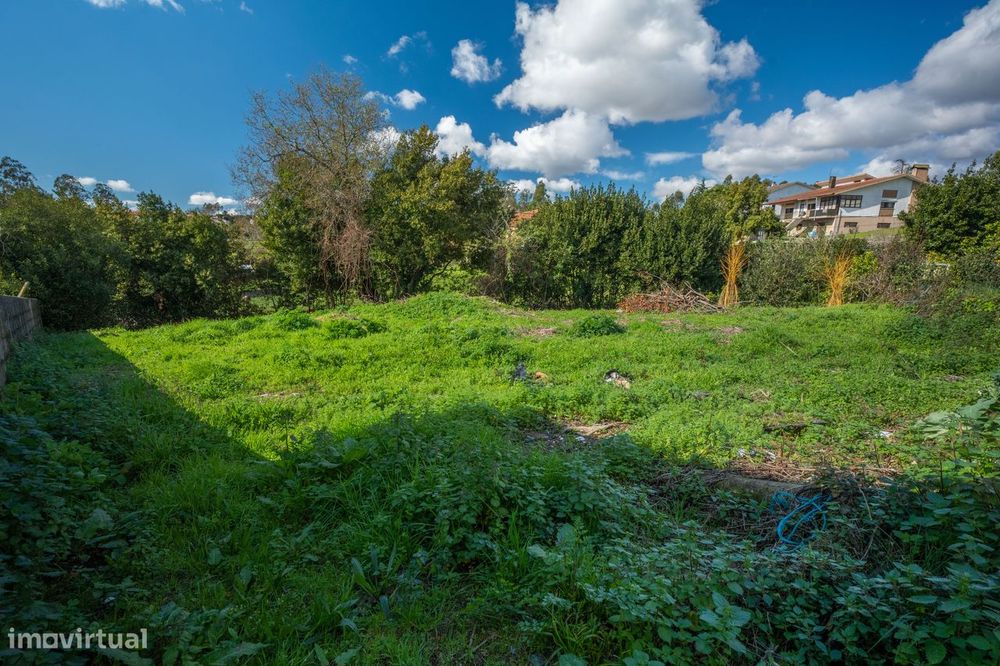 Terreno em Albergaria-a-Velha — Albergaria-A-Velha E Valmaior, Aveiro