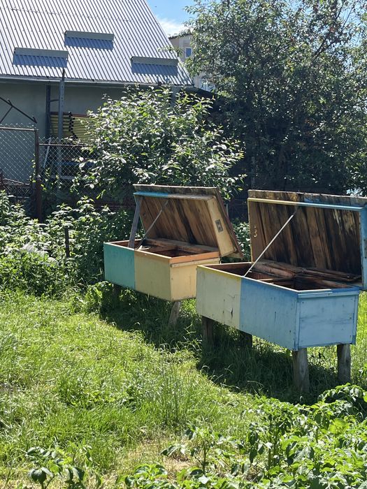 Продам 2 Вулика, 22 рамки кожен
