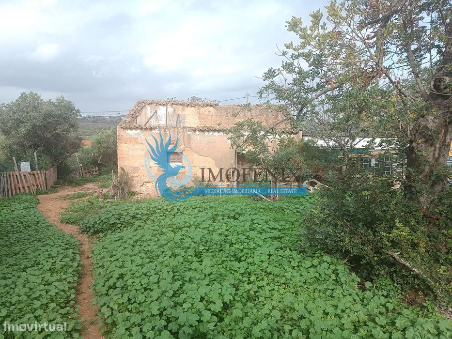 Terreno misto com ruina- Guia/ Montes Juntos