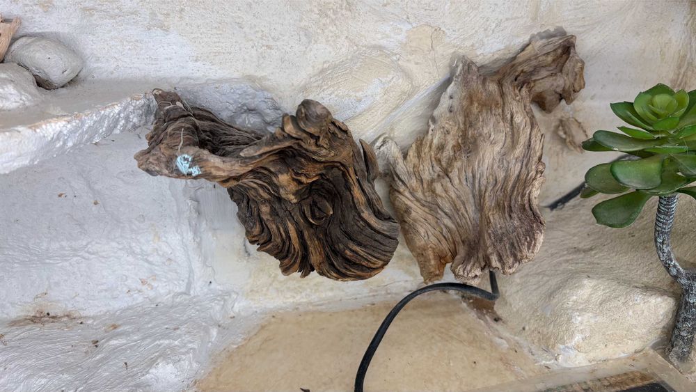 Terrarium pustynne 85x47x56