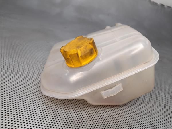 Vaso Expansao / Radiador FORD Transit Connect I (P65_, P70_, P80_)