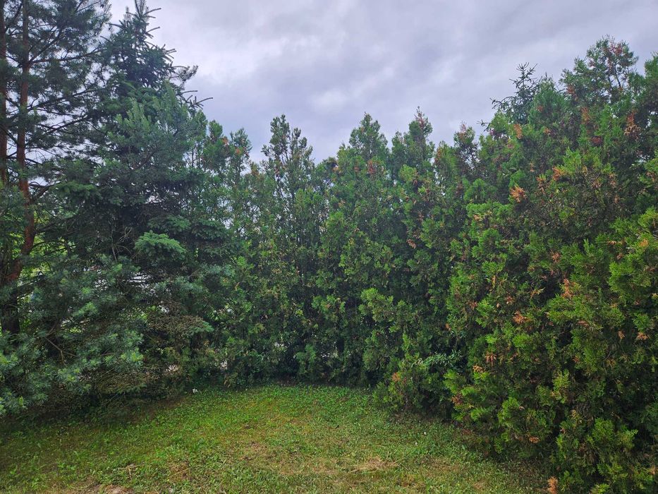 Sprzedam działkę ROD „Wiosna” w centrum Oławy – 379 m² (narożna)