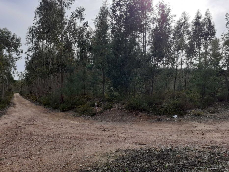 Terreno rústico, com 17000 m2.