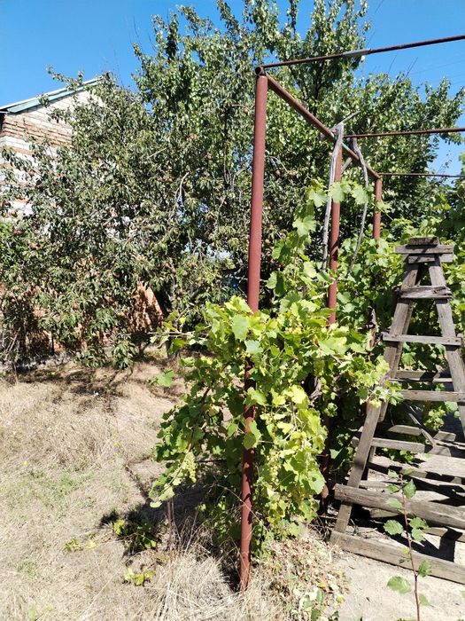 Продаю Дачу. С. Темп