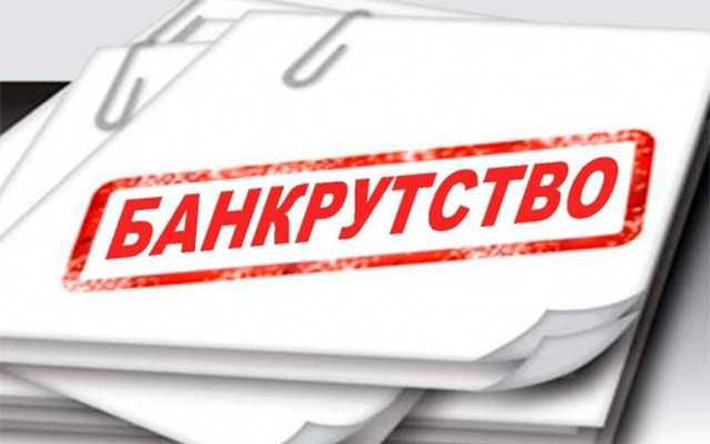 Банкрутство фізичних і юридичних осіб. Захист у кредитних справах