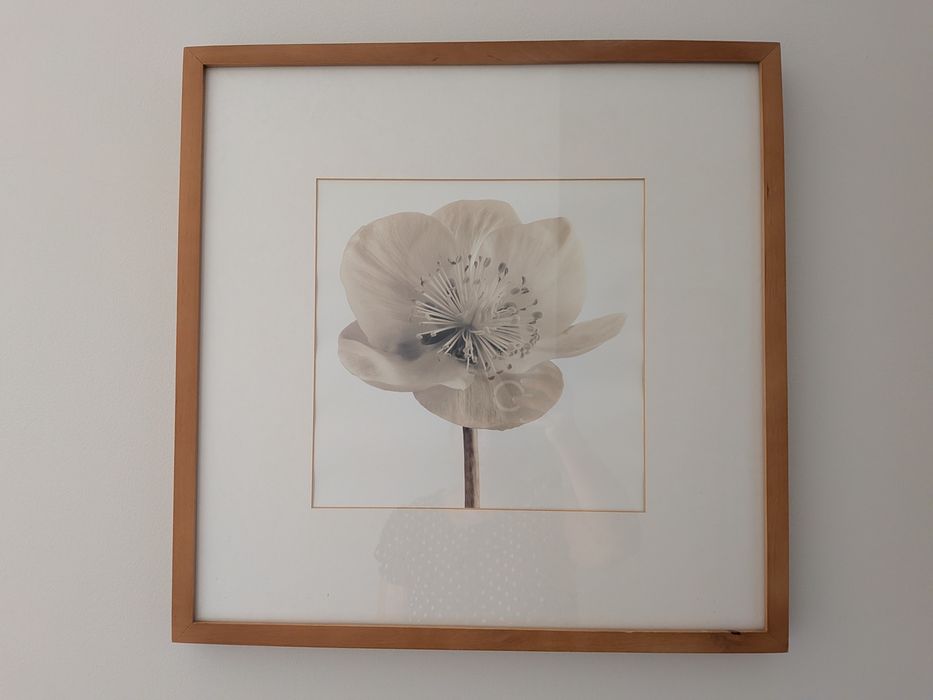 Quadro com estampa de flor