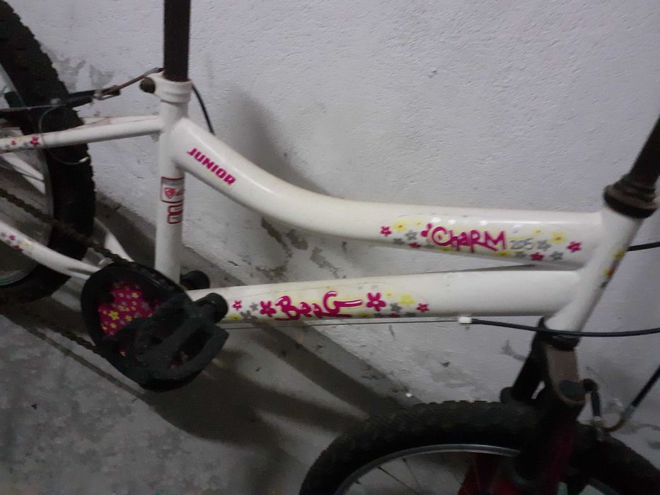 Bicicleta berg btt