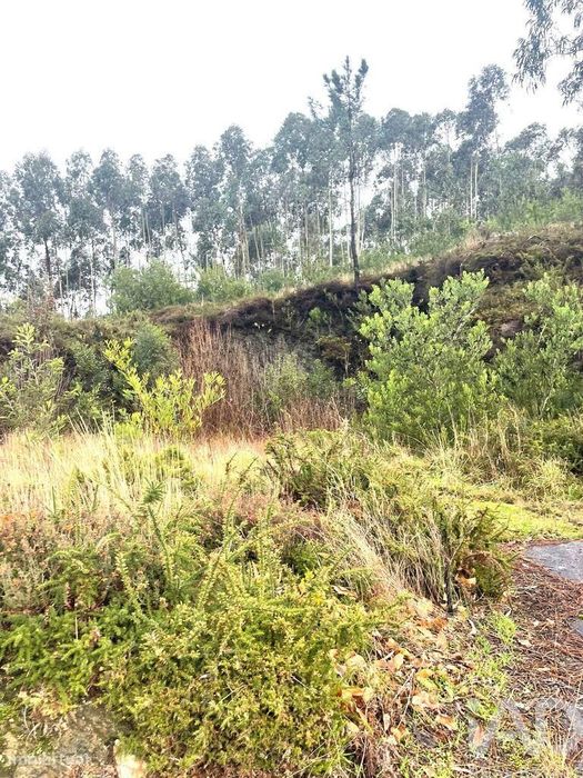 Terreno para construção em Outeiro