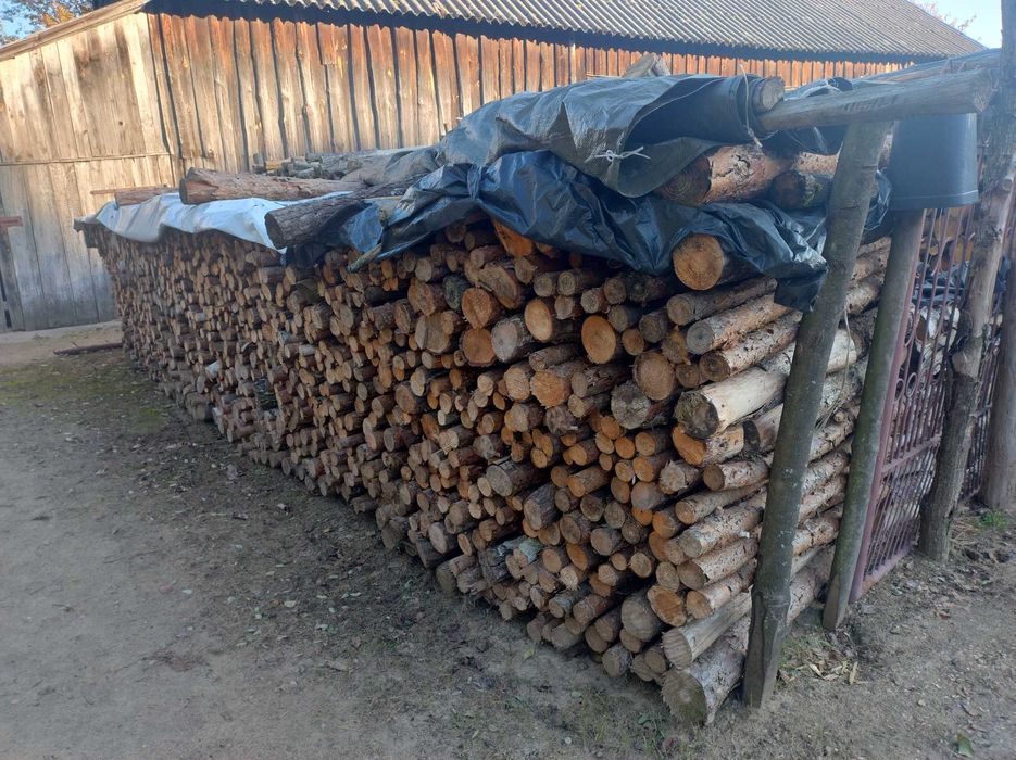 drzewo opalowe sosnowe